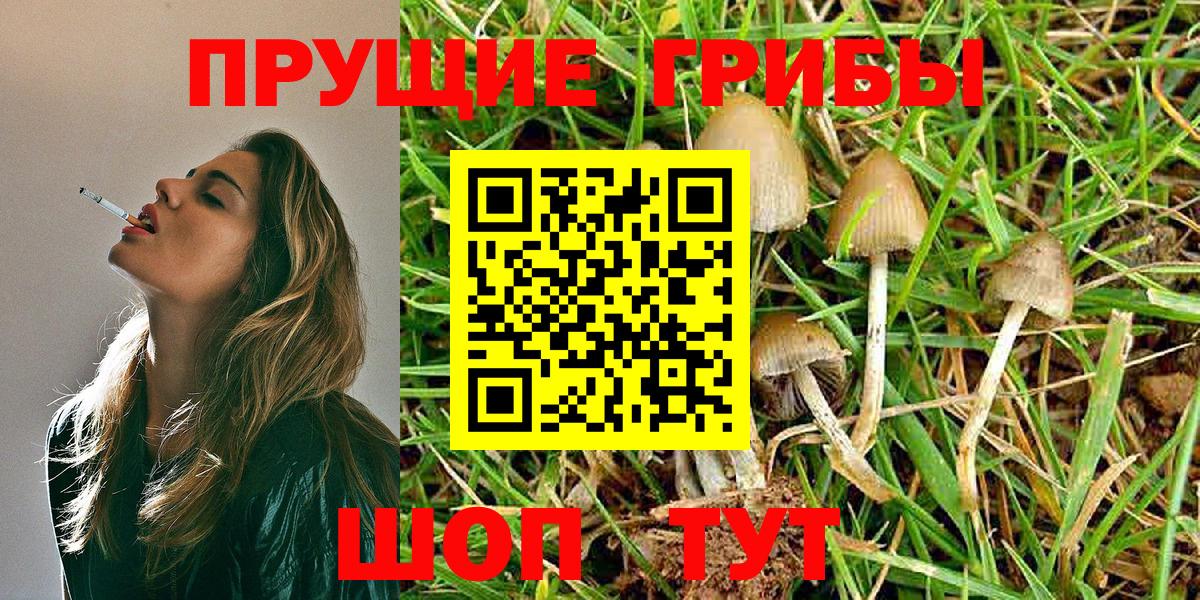 купить  цена  Вход с VPN  Саратов  Галлюциногенные грибы мухоморы 