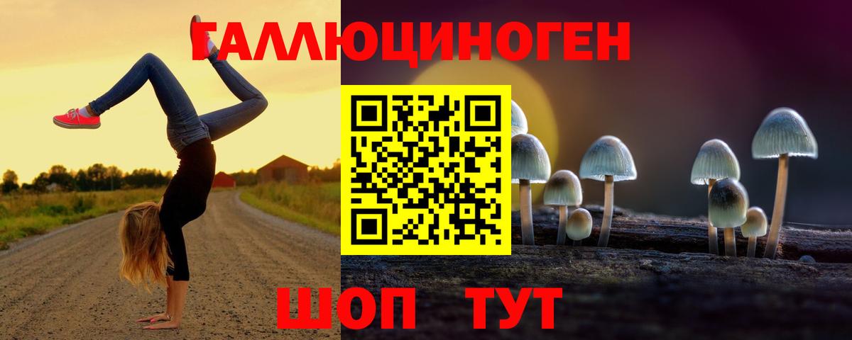 Галлюциногенные грибы GOLDEN TEACHER Саратов